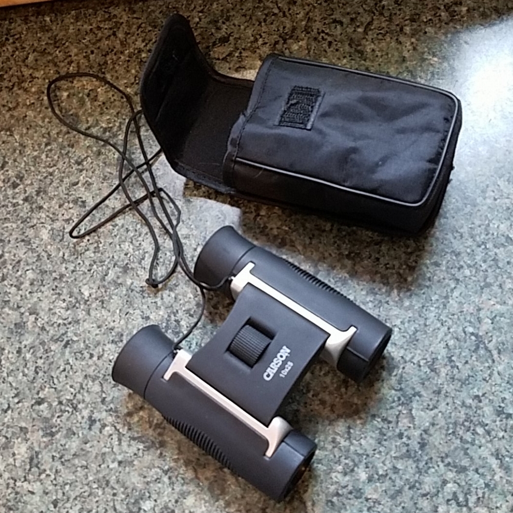 Field Glasses Binoculars Carson 10X25